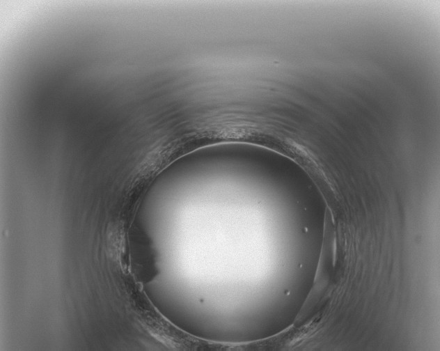 X0000054420307200508051813