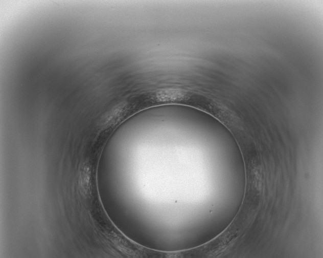 X0000054420308200508051813