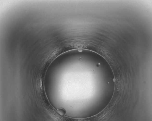 X0000054420310200508051813