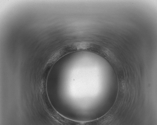 X0000054420311200508051813