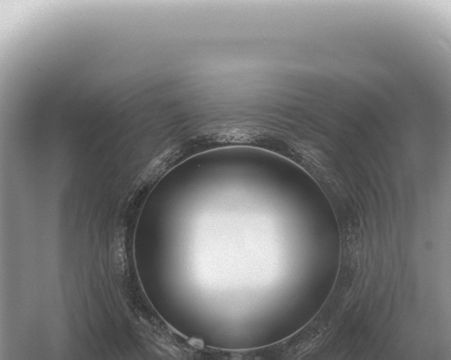 X0000054420312200508051813