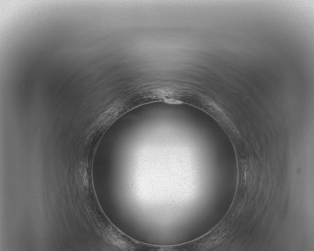 X0000054420313200508051813