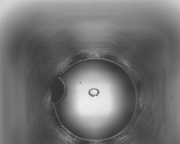 X0000054420314200508051813