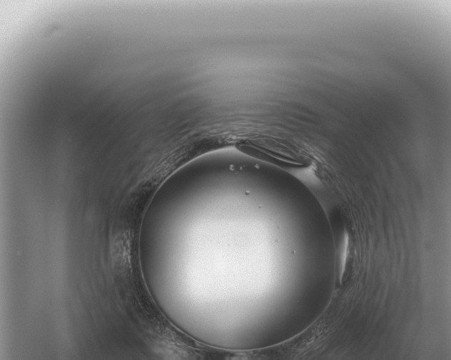 X0000054420315200508051813