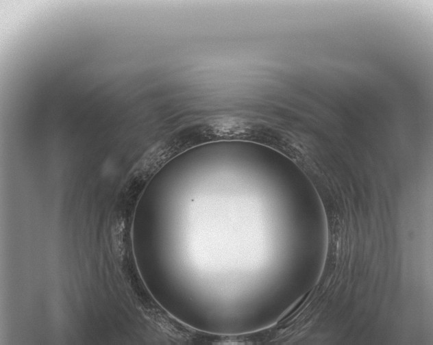 X0000054420319200508051812