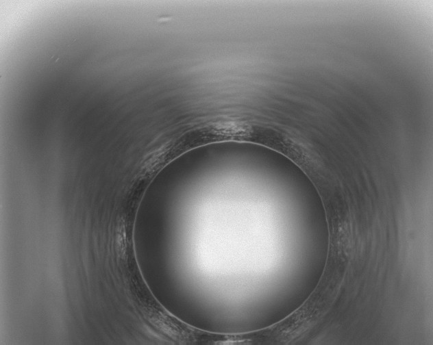 X0000054420320200508051812