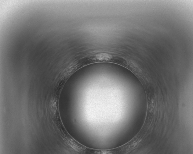 X0000054420321200508051812