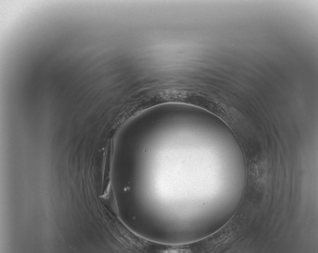 X0000054420323200508051812