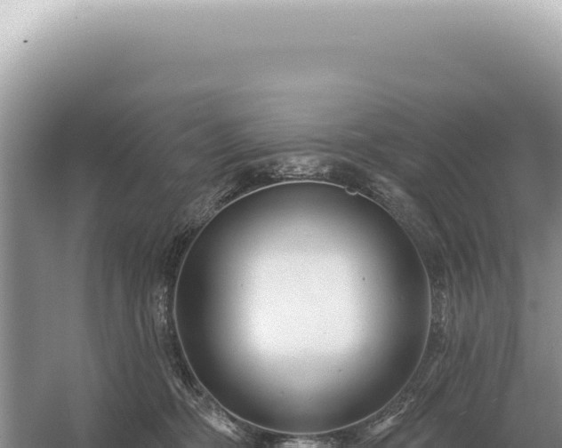 X0000054420326200508051812