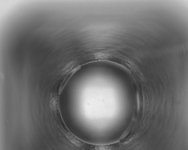 X0000054420329200508051812