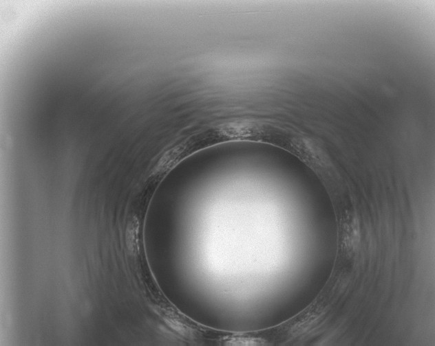 X0000054420332200508051812