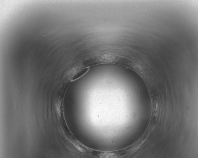 X0000054420334200508051812