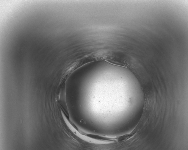 X0000054420335200508051812