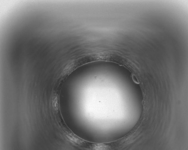 X0000054420336200508051812