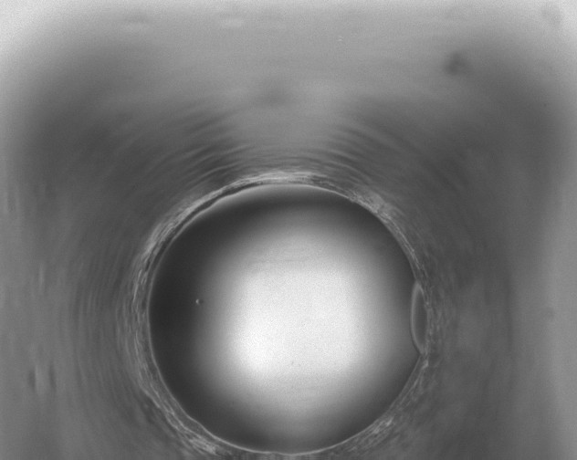 X0000054420337200508051811