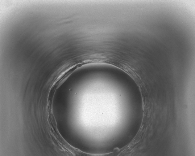 X0000054420338200508051811