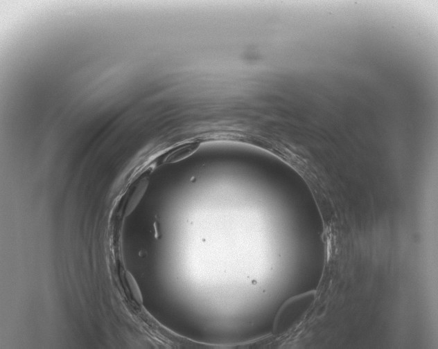 X0000054420339200508051811