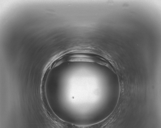 X0000054420340200508051811