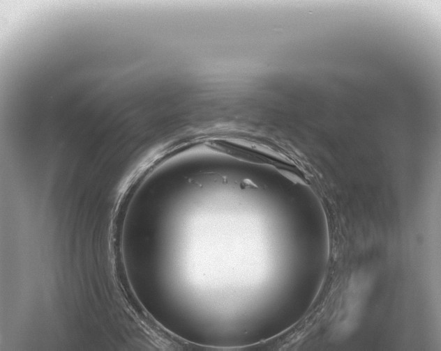 X0000054420341200508051811