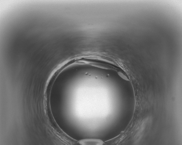 X0000054420342200508051811