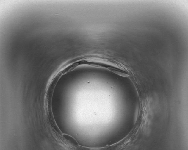 X0000054420343200508051811