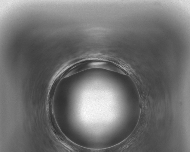 X0000054420344200508051811