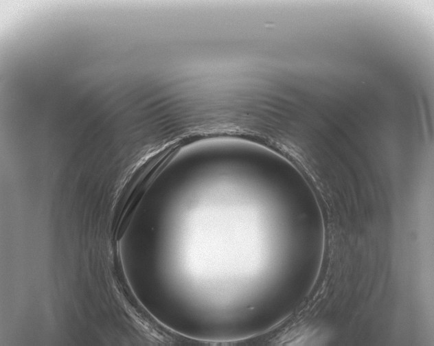 X0000054420345200508051811