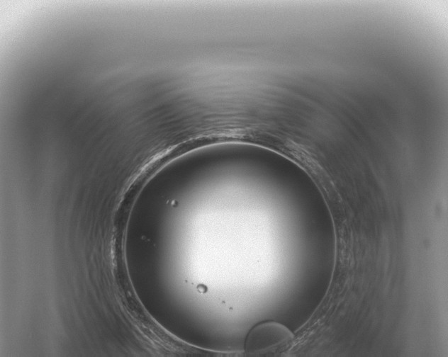 X0000054420346200508051811