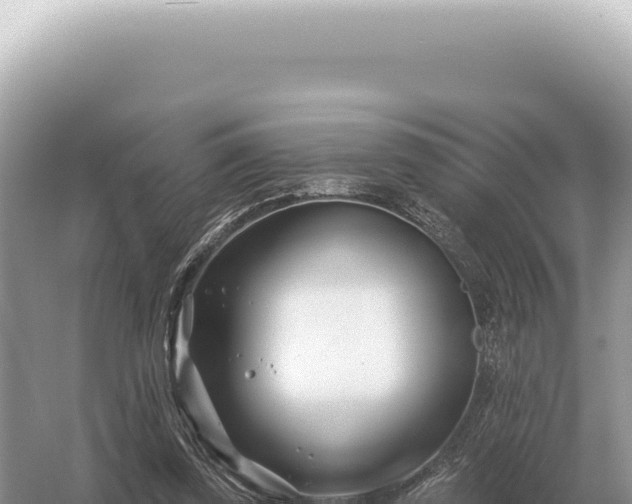 X0000054420347200508051811