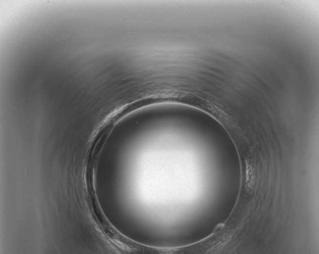 X0000054420348200508051812