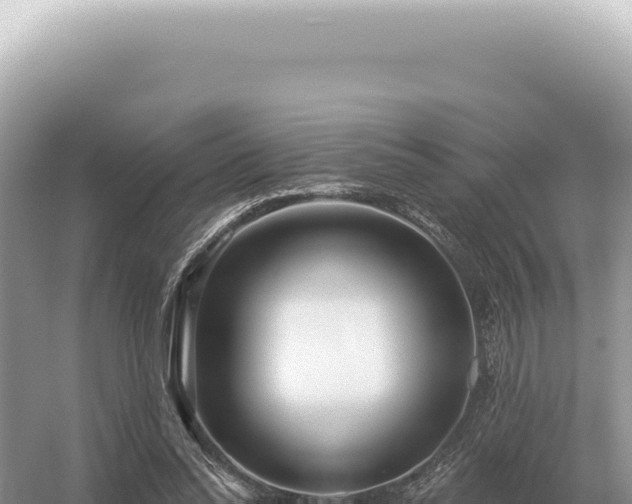 X0000054420350200508051812