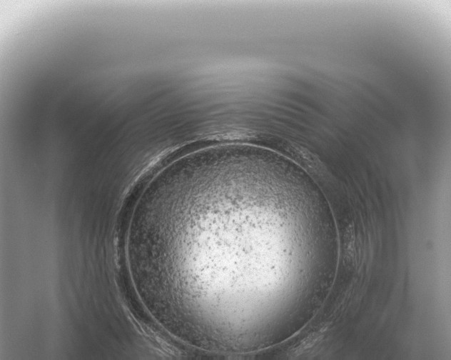 X0000054420351200508051812