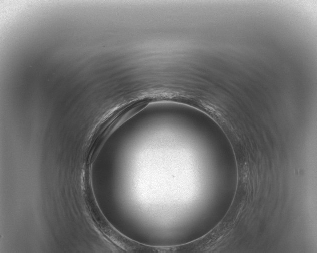 X0000054420352200508051812