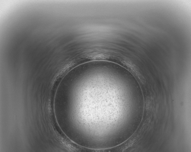 X0000054420353200508051812