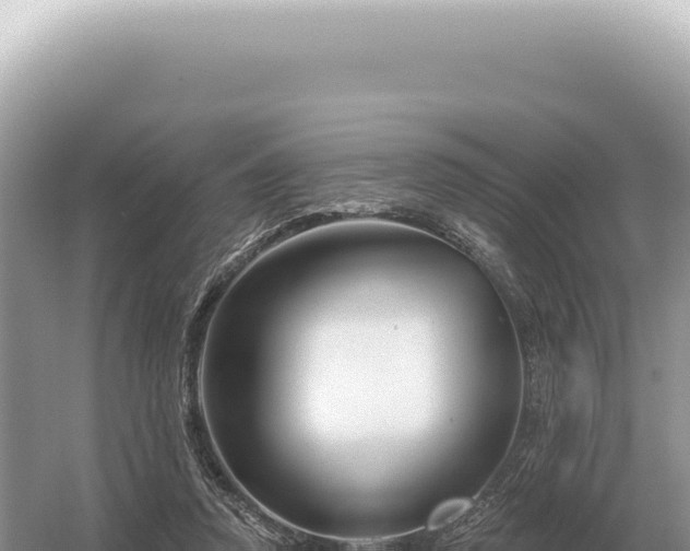 X0000054420354200508051812