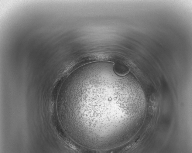 X0000054420355200508051812