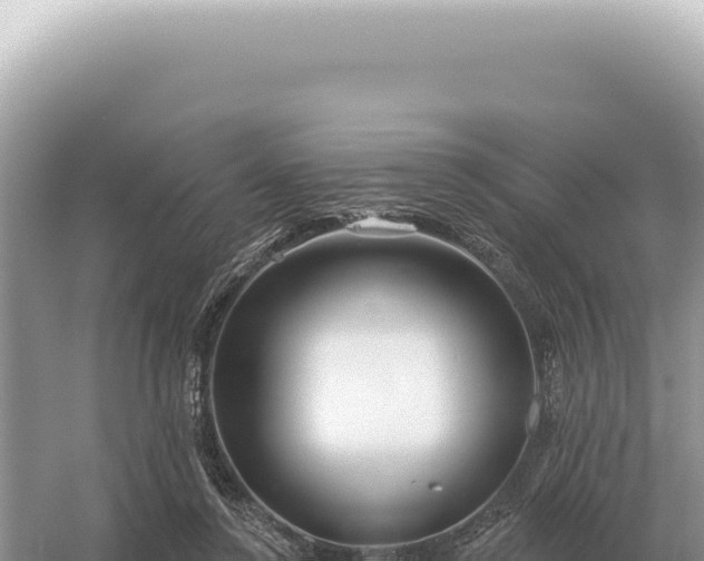 X0000054420356200508051812