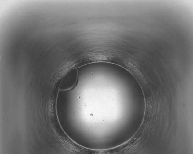 X0000054420359200508051812