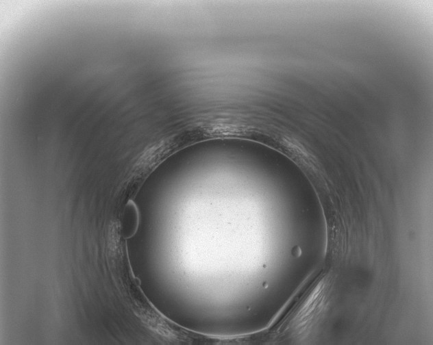 X0000054420361200508051812