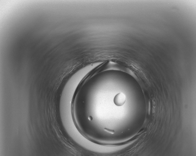 X0000054420362200508051812