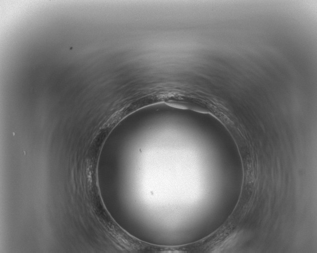 X0000054420363200508051812