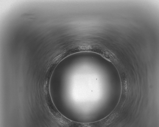 X0000054420364200508051812