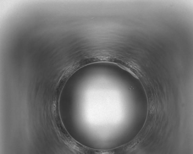 X0000054420365200508051812