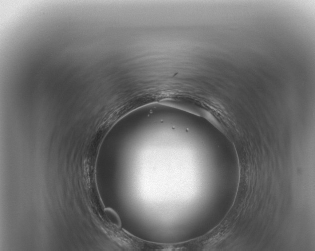 X0000054420366200508051812