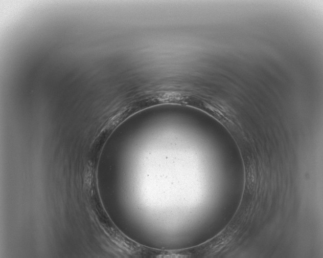 X0000054420367200508051812