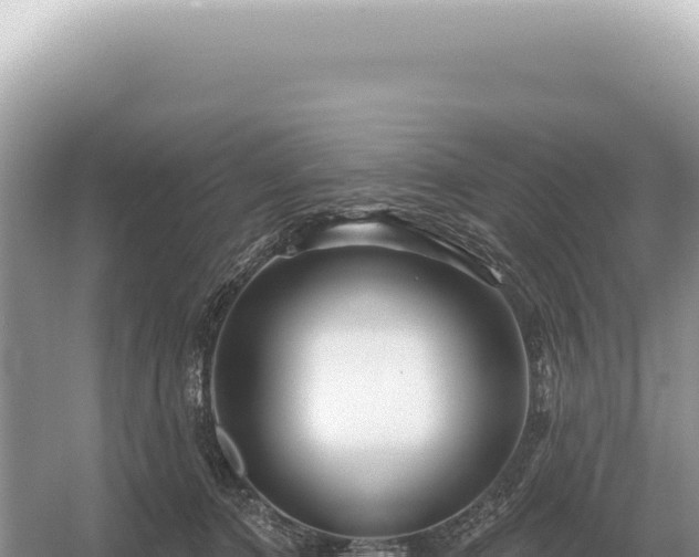 X0000054420368200508051812