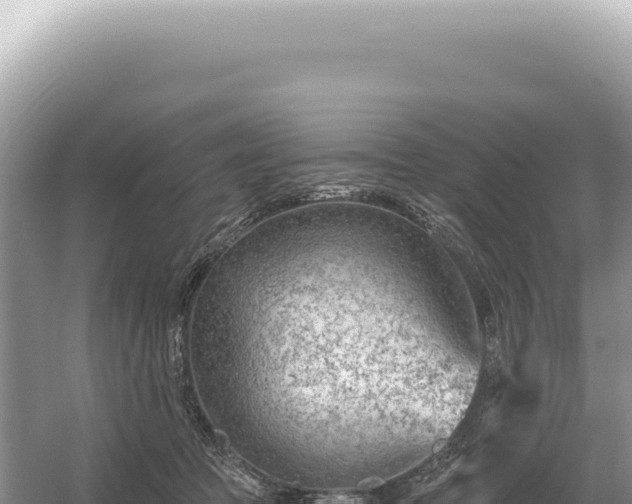 X0000054420369200508051812