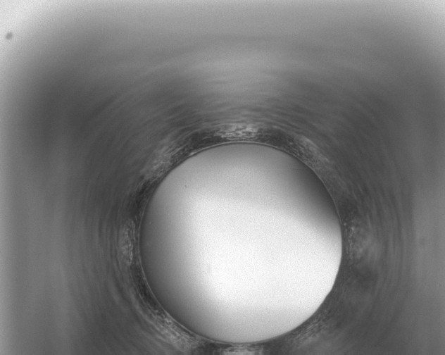 X0000054420370200508051812