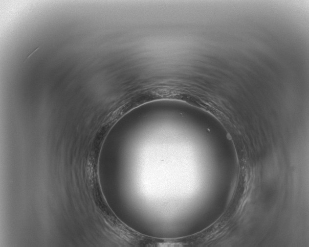 X0000054420371200508051812