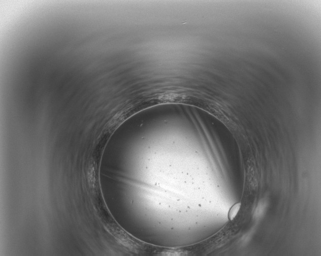 X0000054420375200508051812